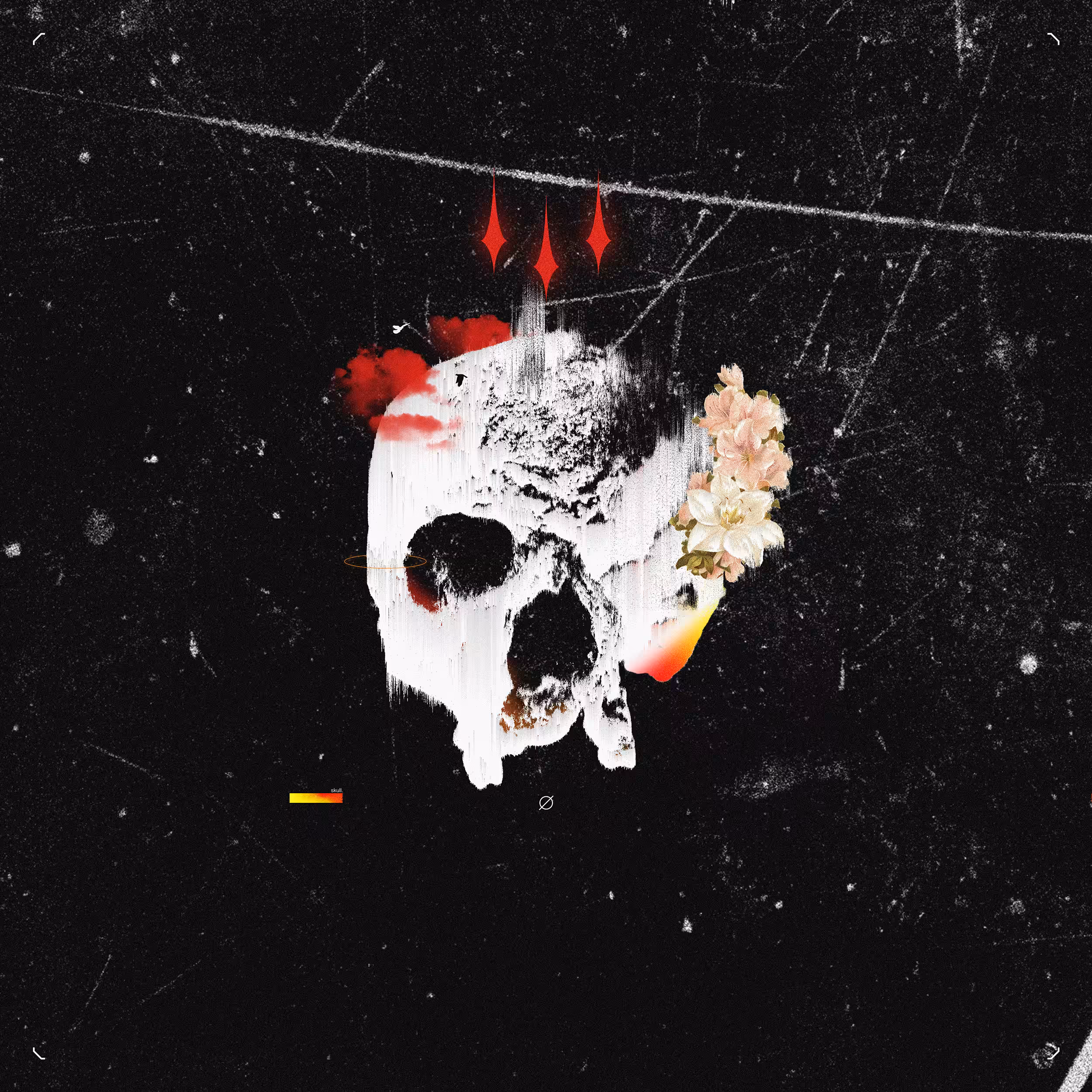 Skull