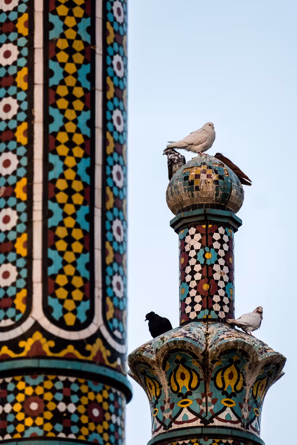 Birds Minarets