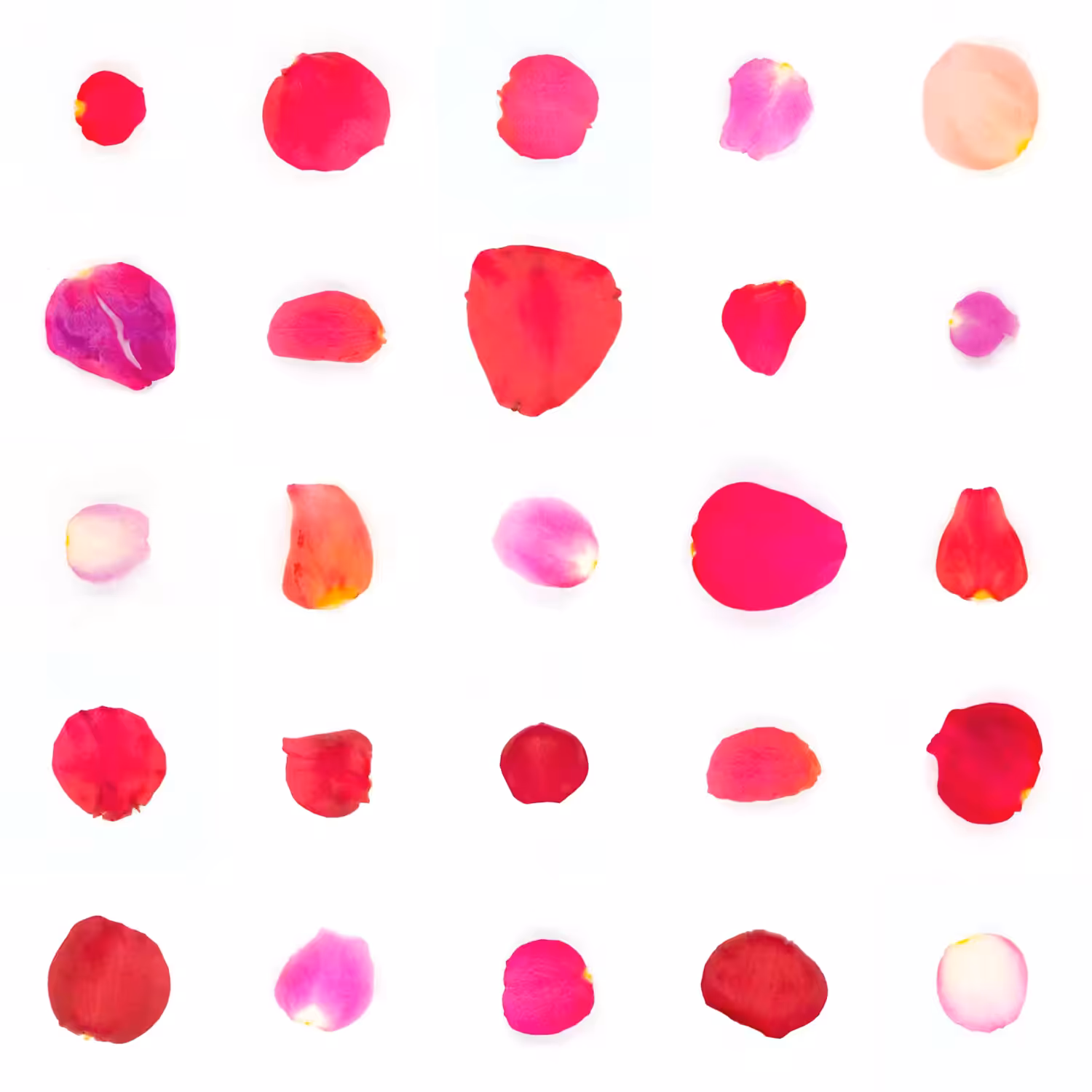 Infinite Petals 5x5#436