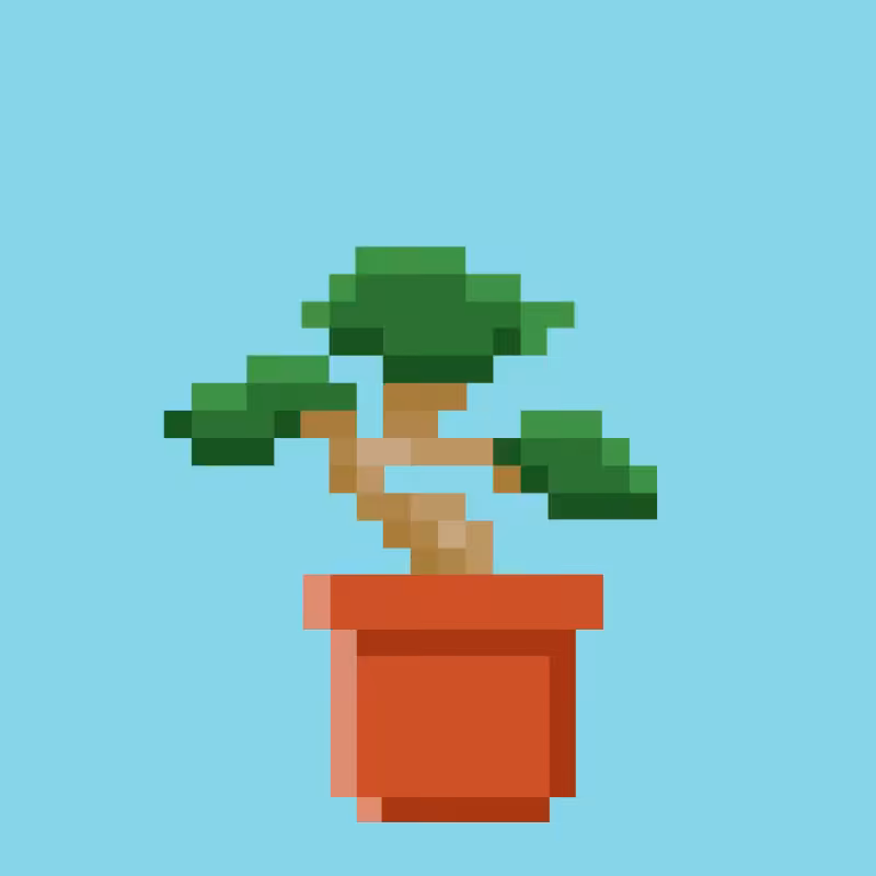 Tez Plants #10