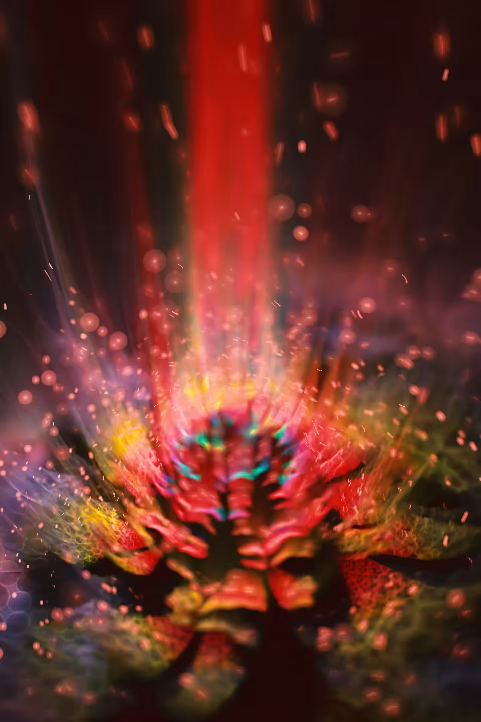 InnerVision 02