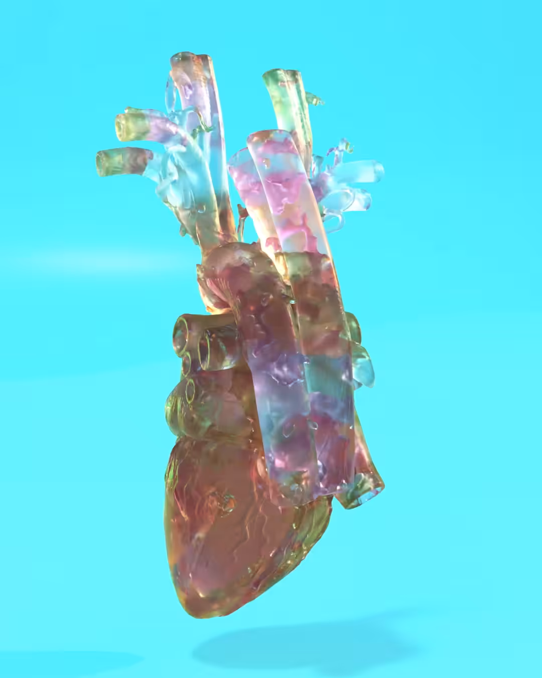 [004]_HEART