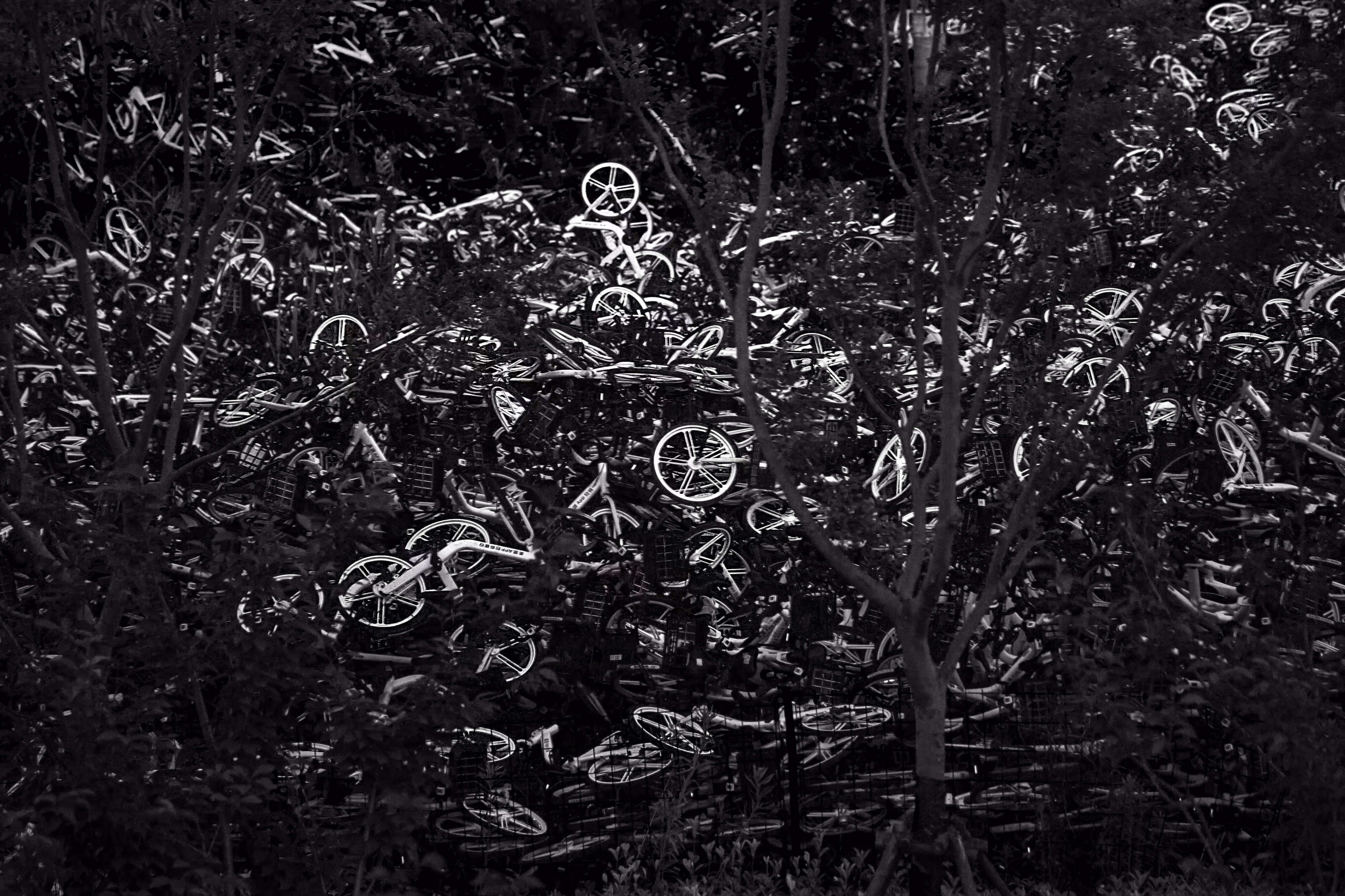 Bicycle cemetery