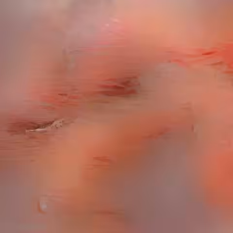 Vibrant Veins (Little Joy 9)