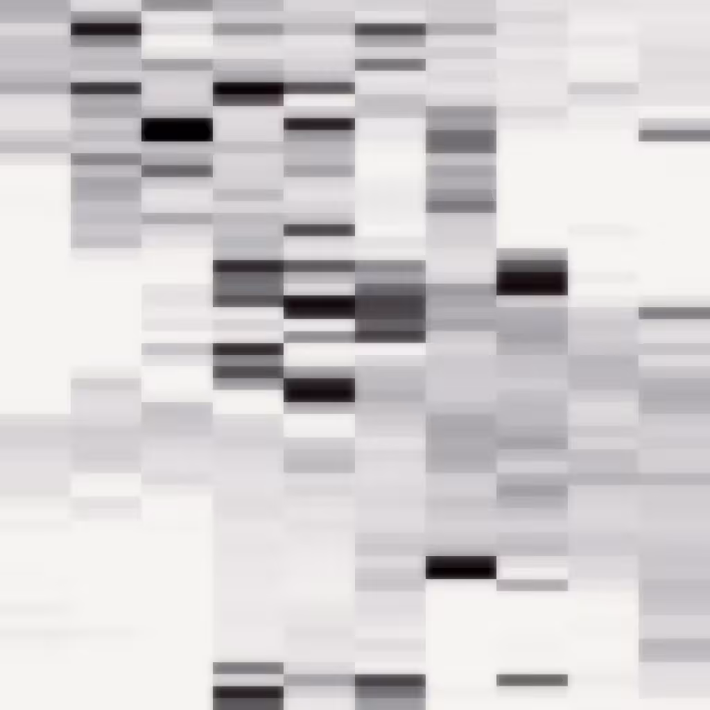 SQCNR #006 - DVLVR