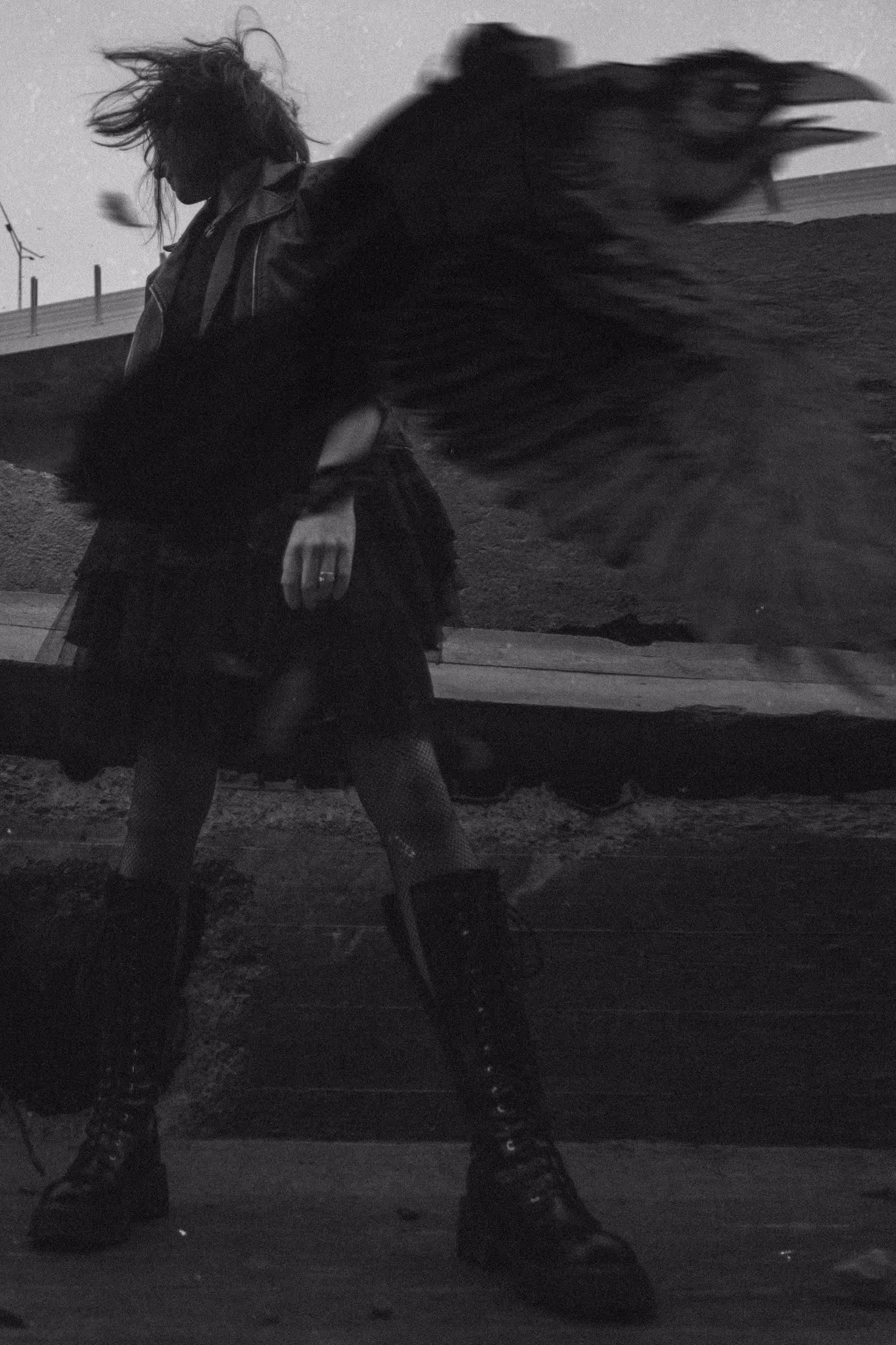 Raven's soul