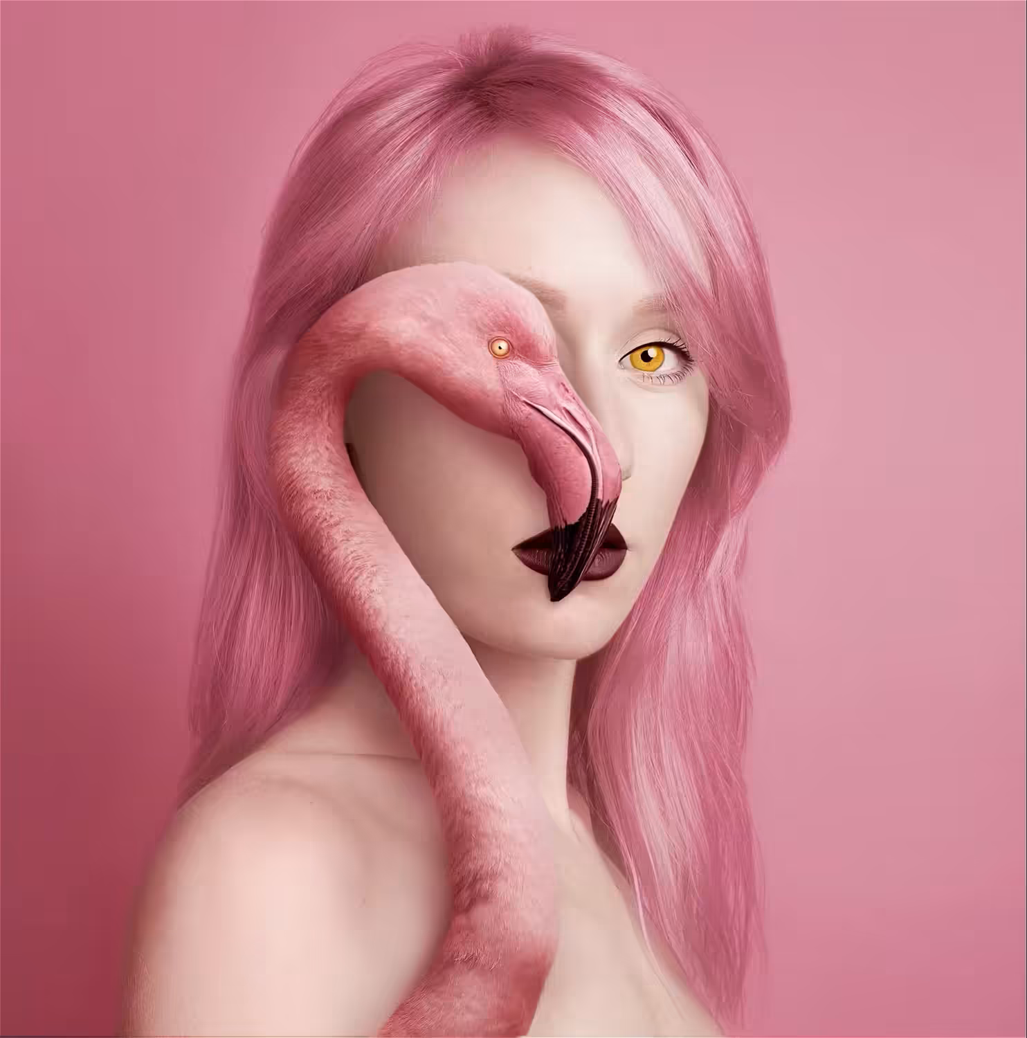 Flamingo