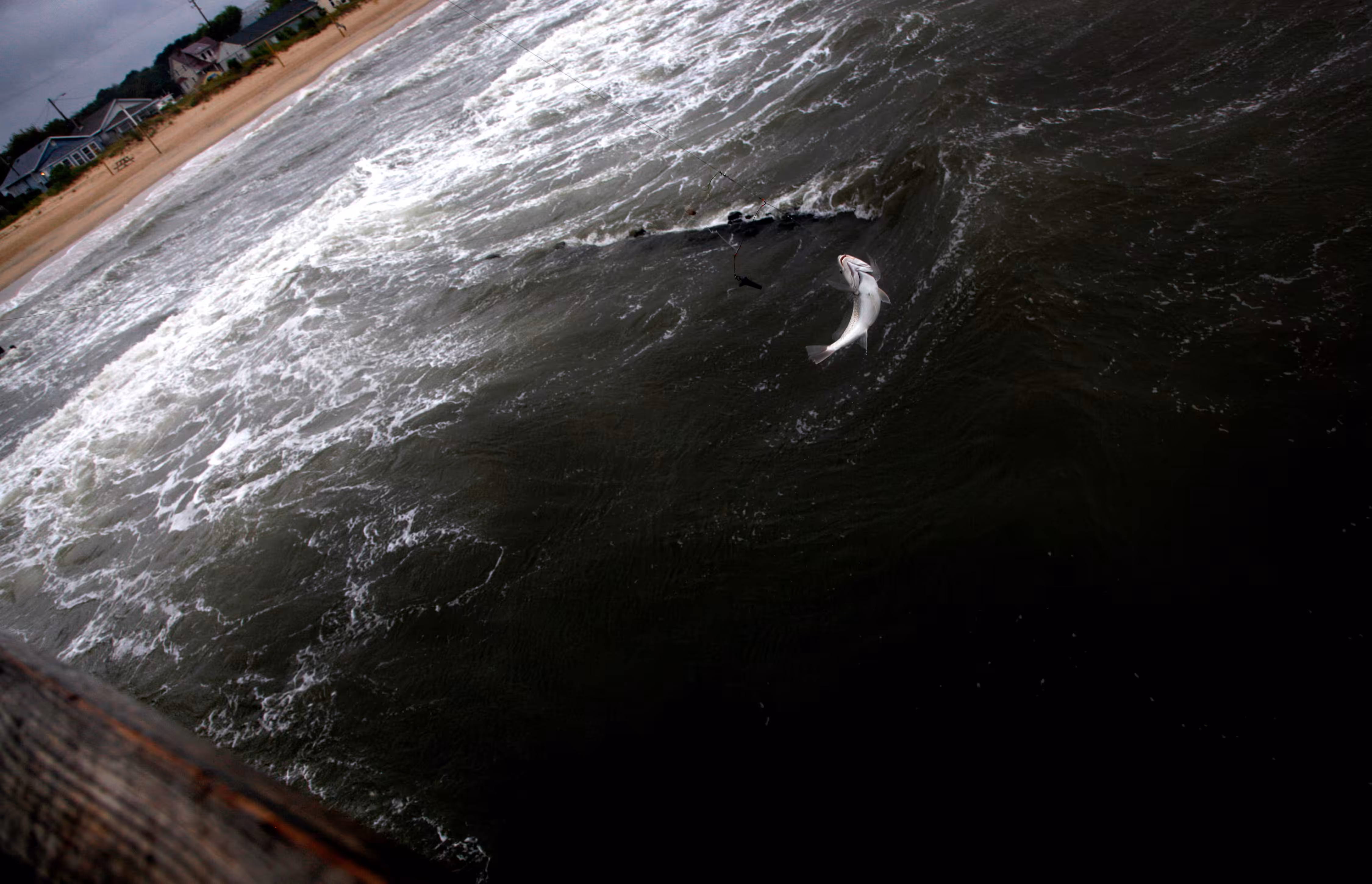 Between the Devil and the Deep Blue Sea #29