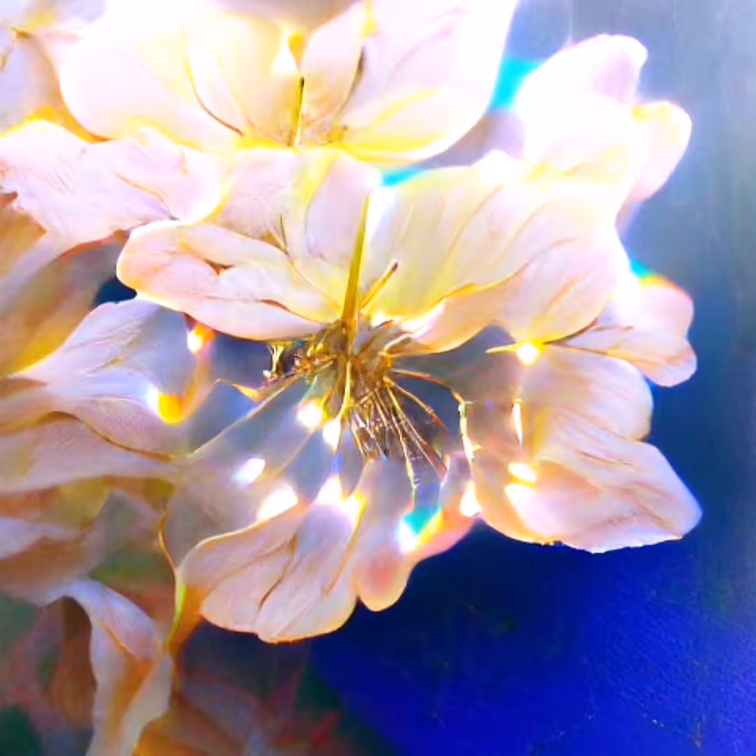 INFINITE REBIRTH
