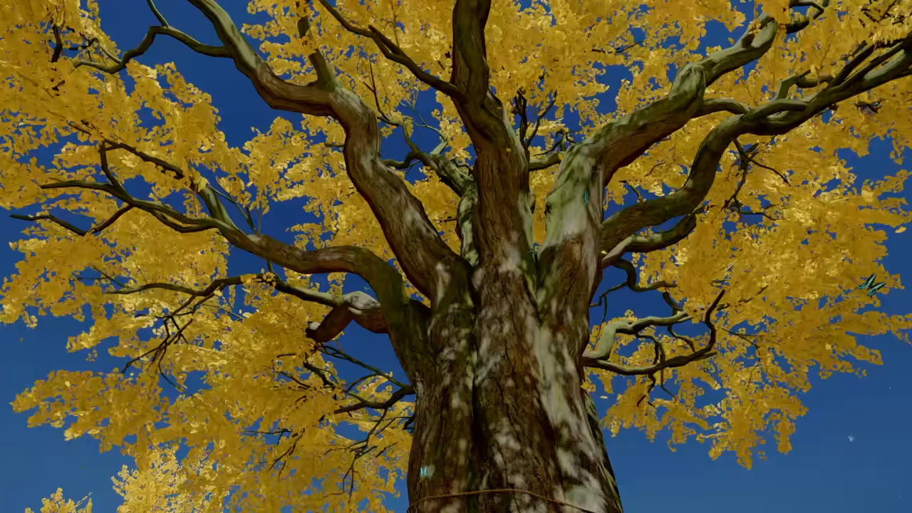 Virtual Phenomenology 19