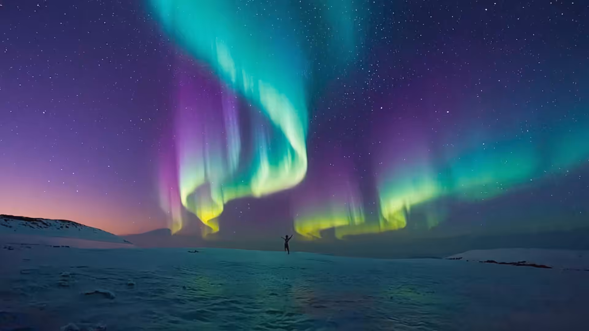 Dreamscape 
