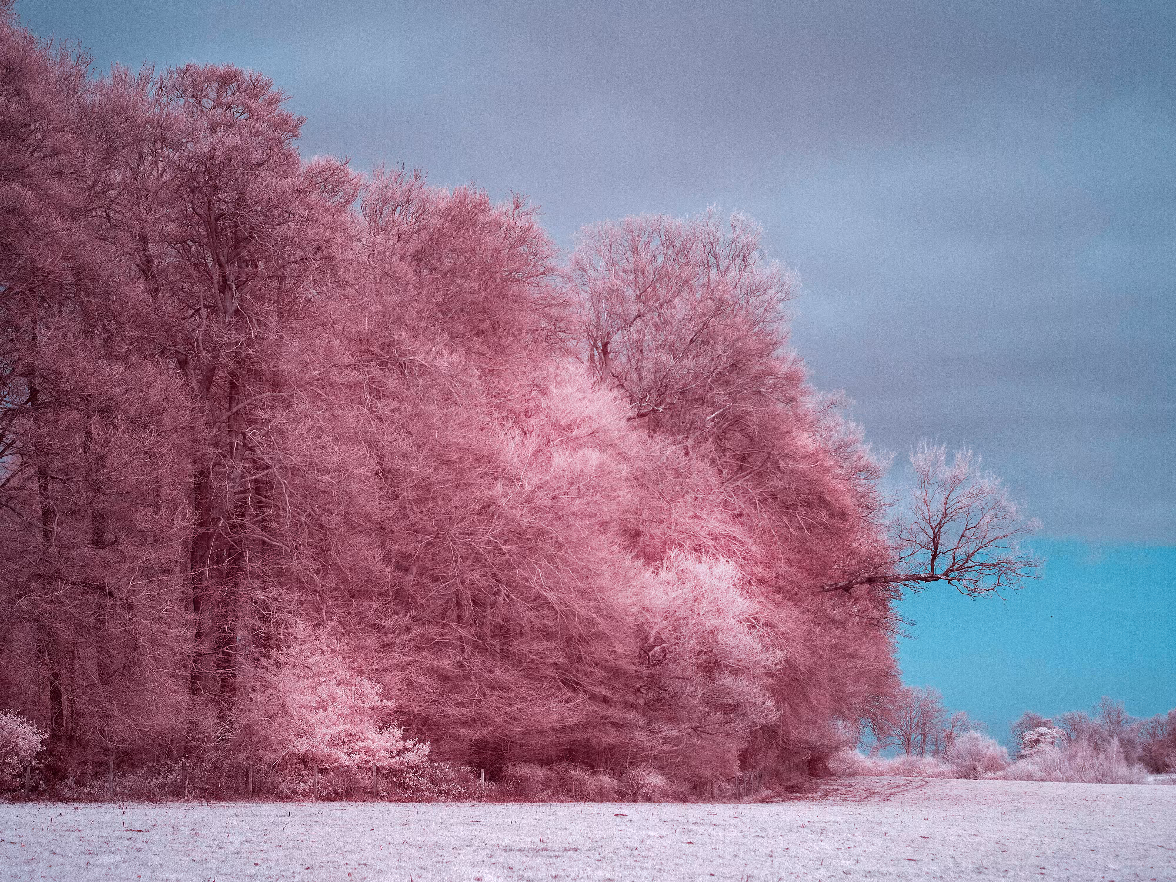 Invisible Light #17