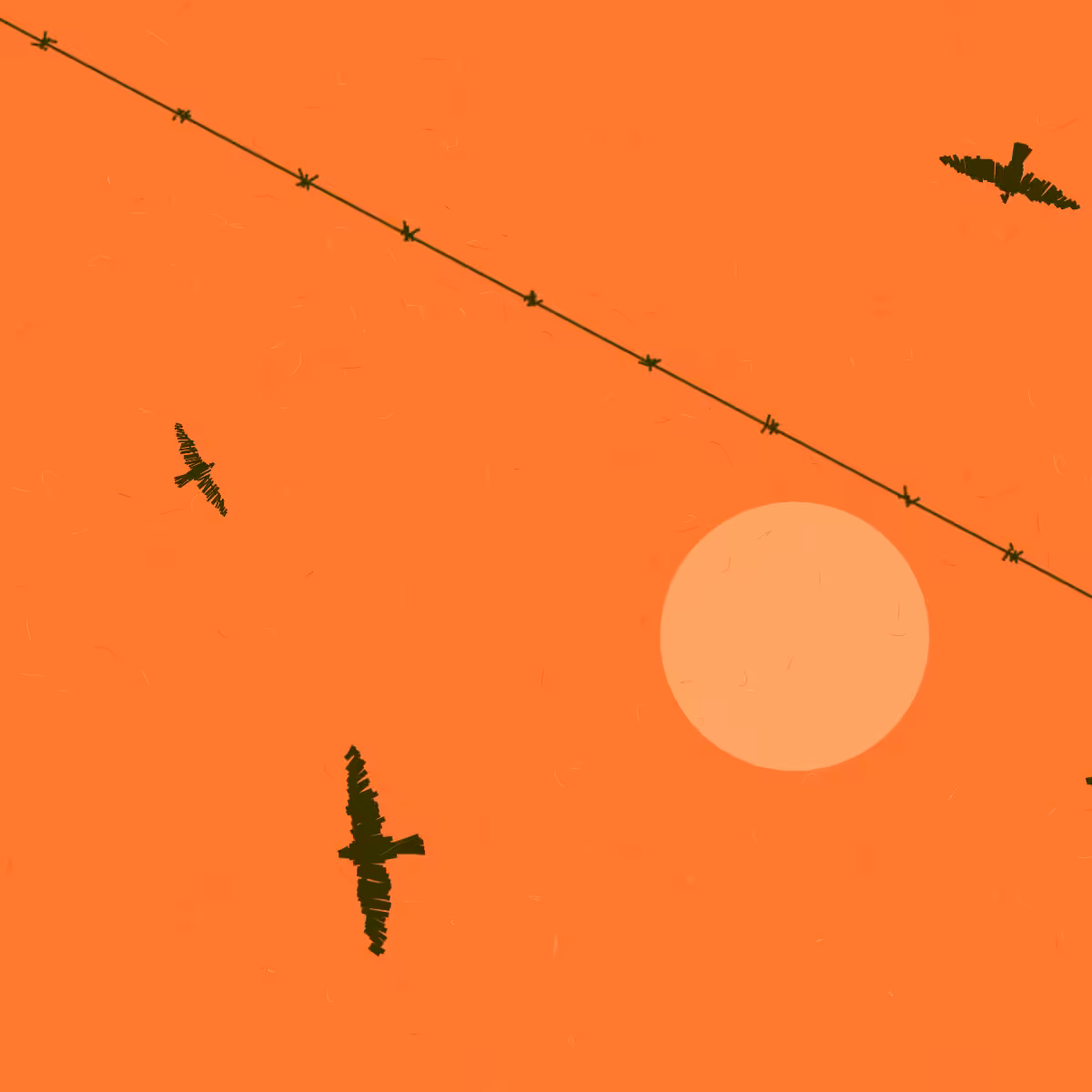 Freedom #16