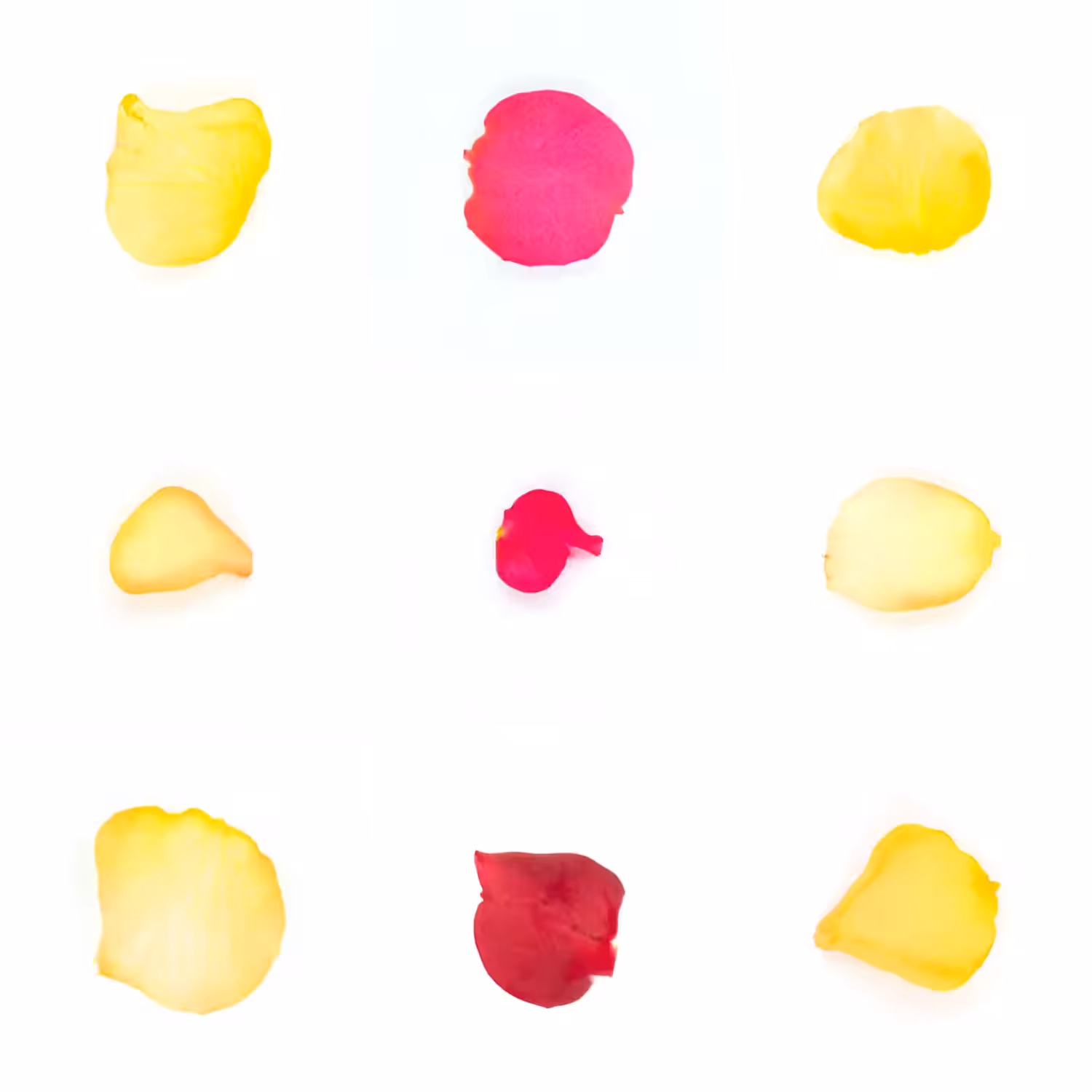 Infinite Petals 3x3#3175