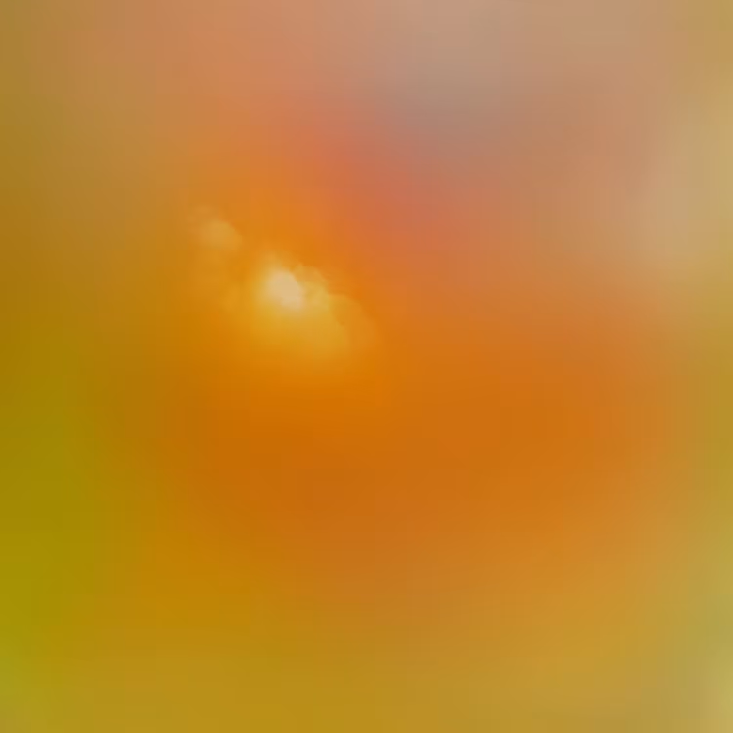 Autochroma #029
