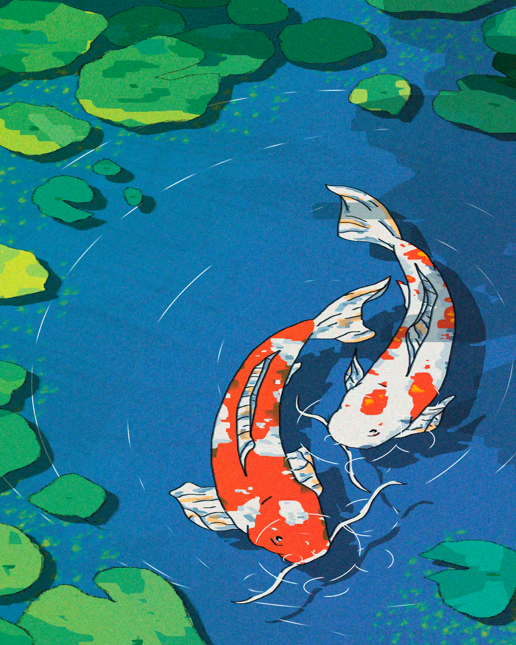 Koi Couple