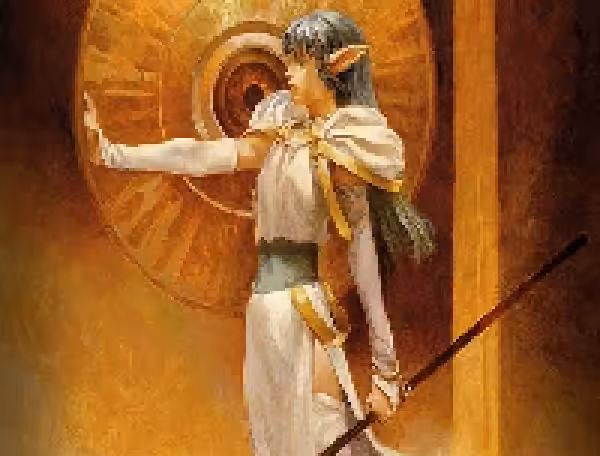 #13 Arara Holimion