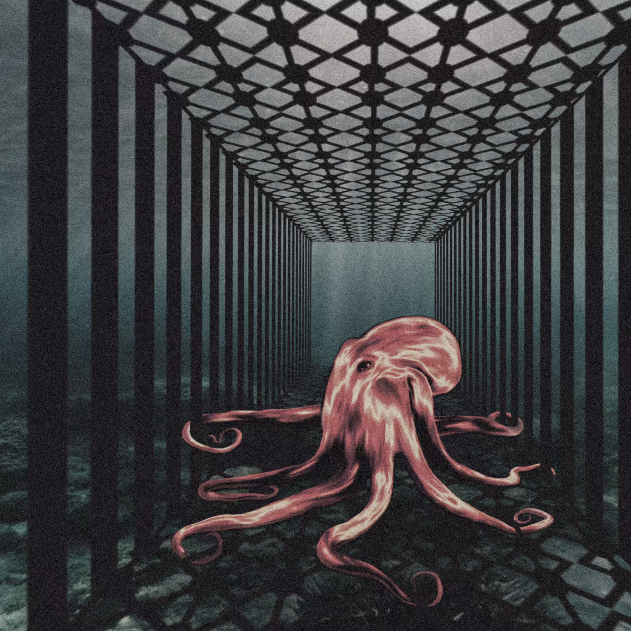 01 - 🐙