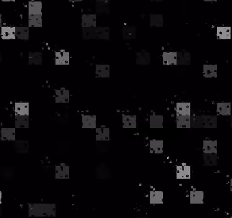 fragmentos