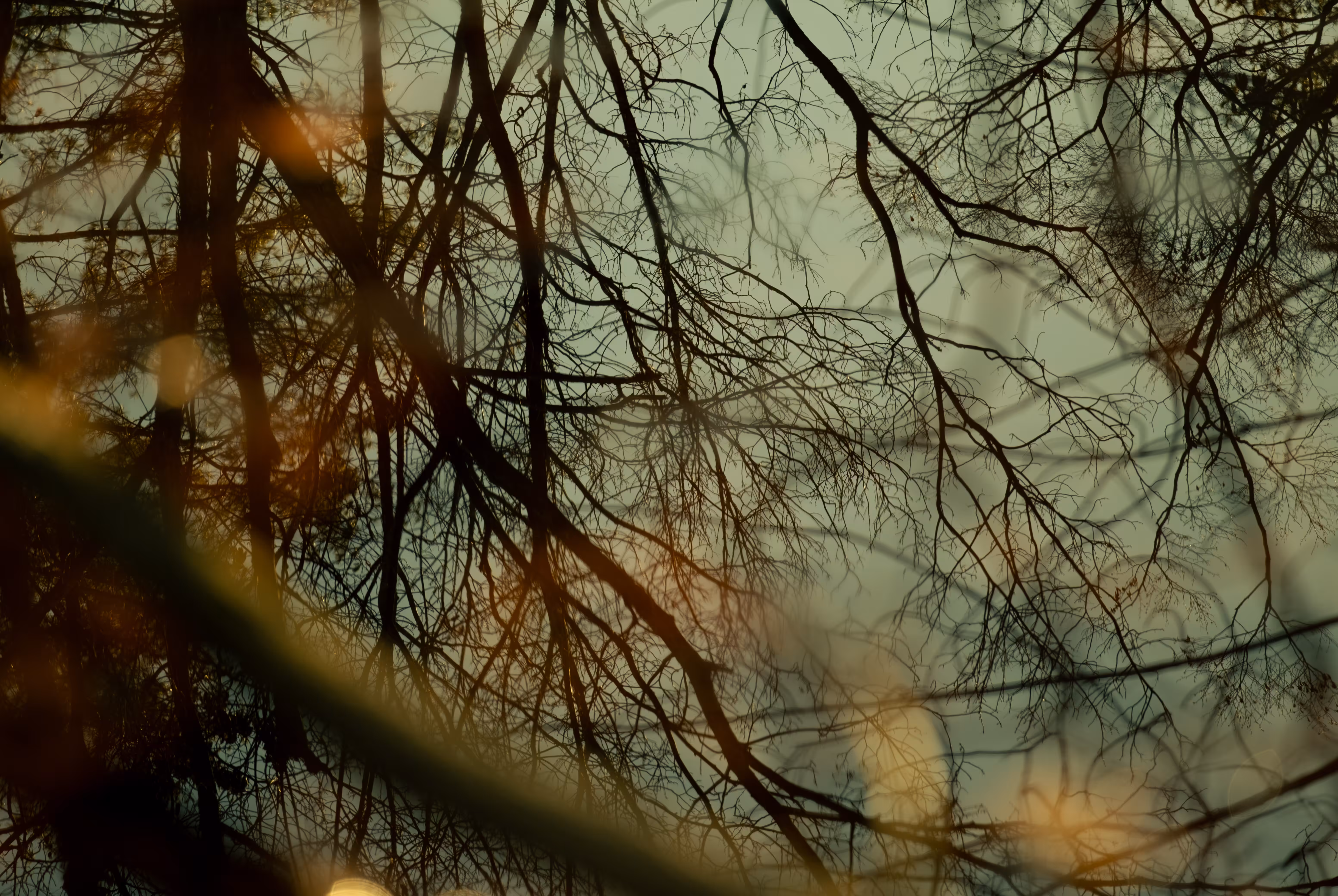 Seeking