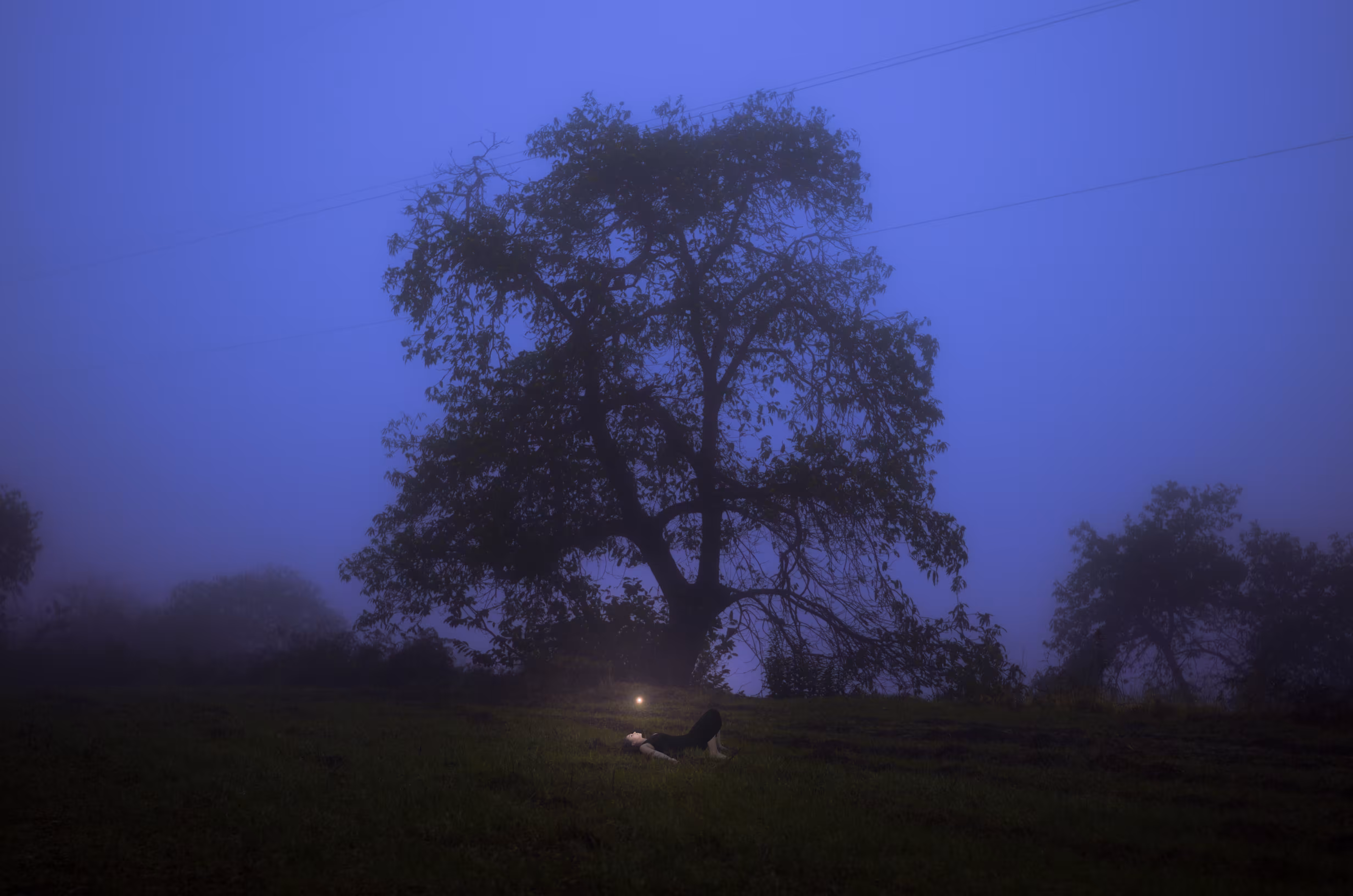 Blinding Light