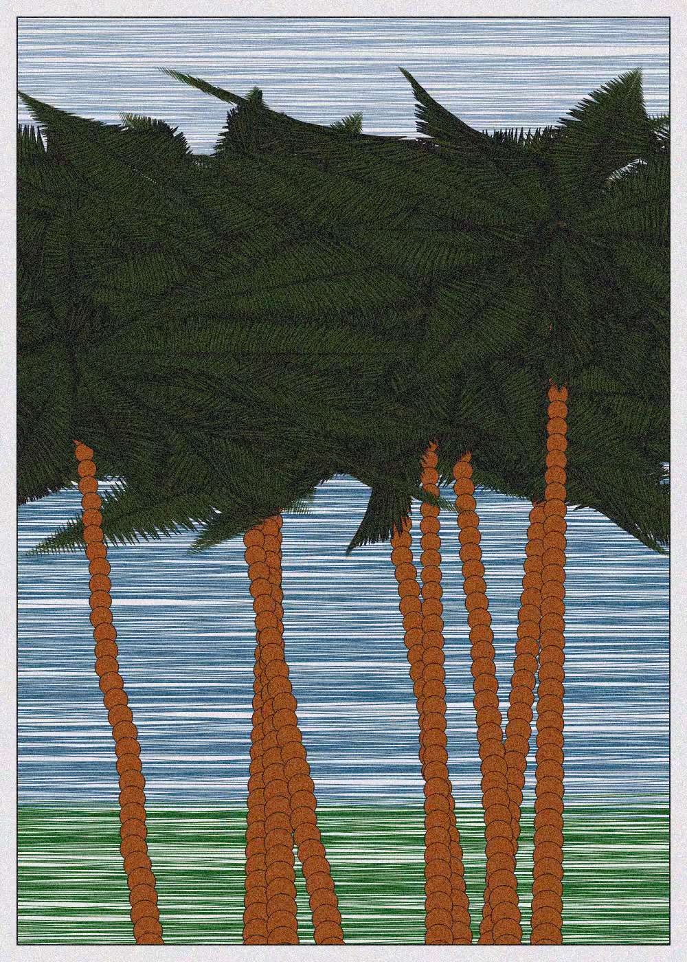 Hawaii #8