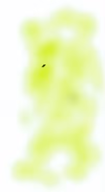 Face 22