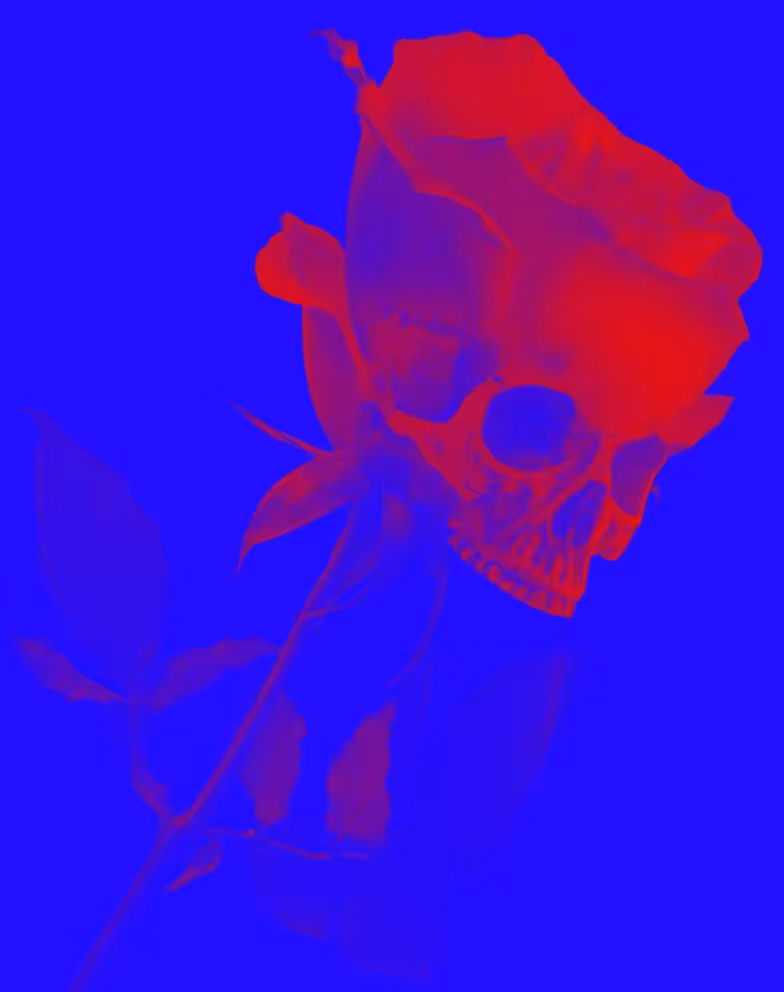 Mon Amie La Rose - Saphir