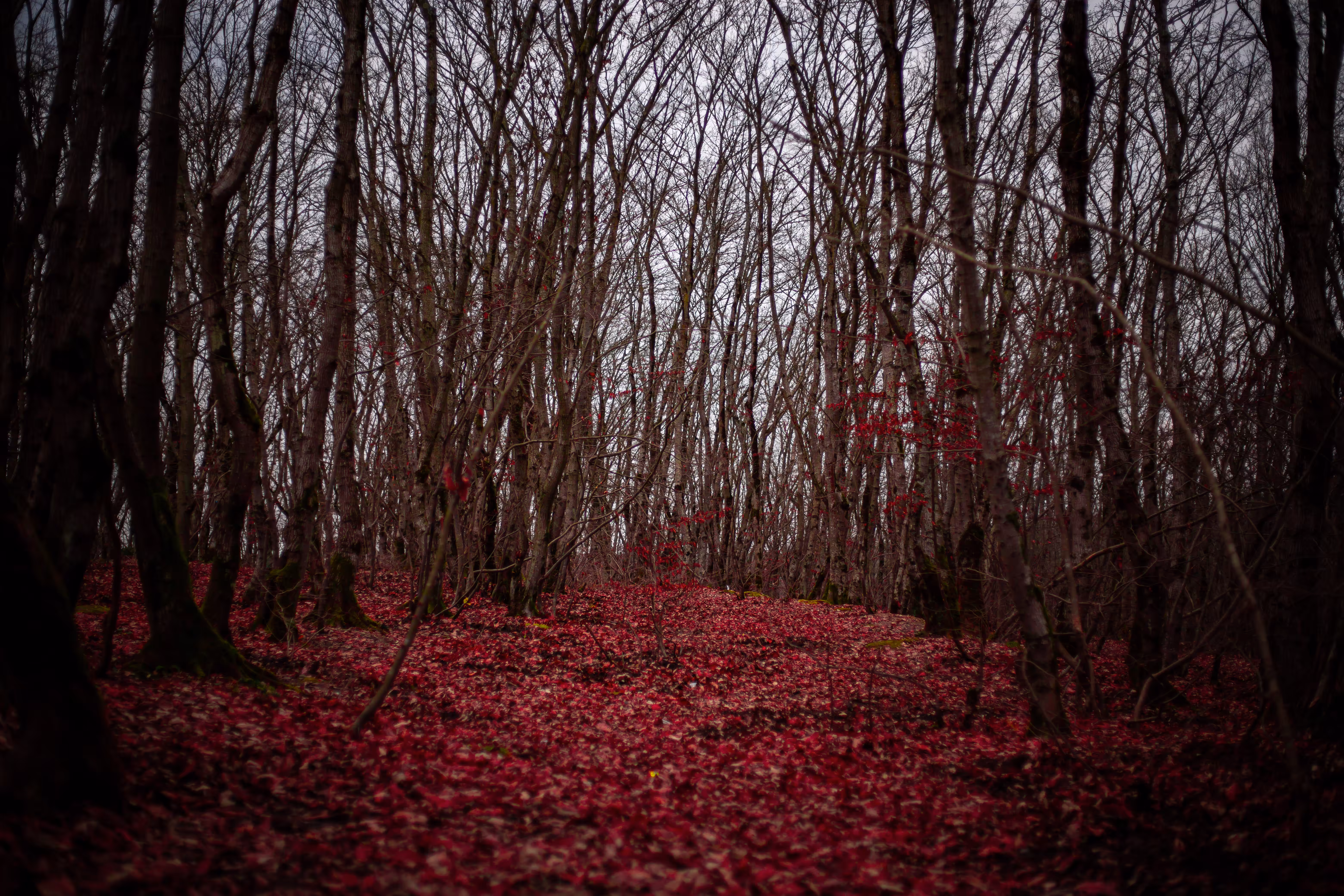6."The mystery of winter"