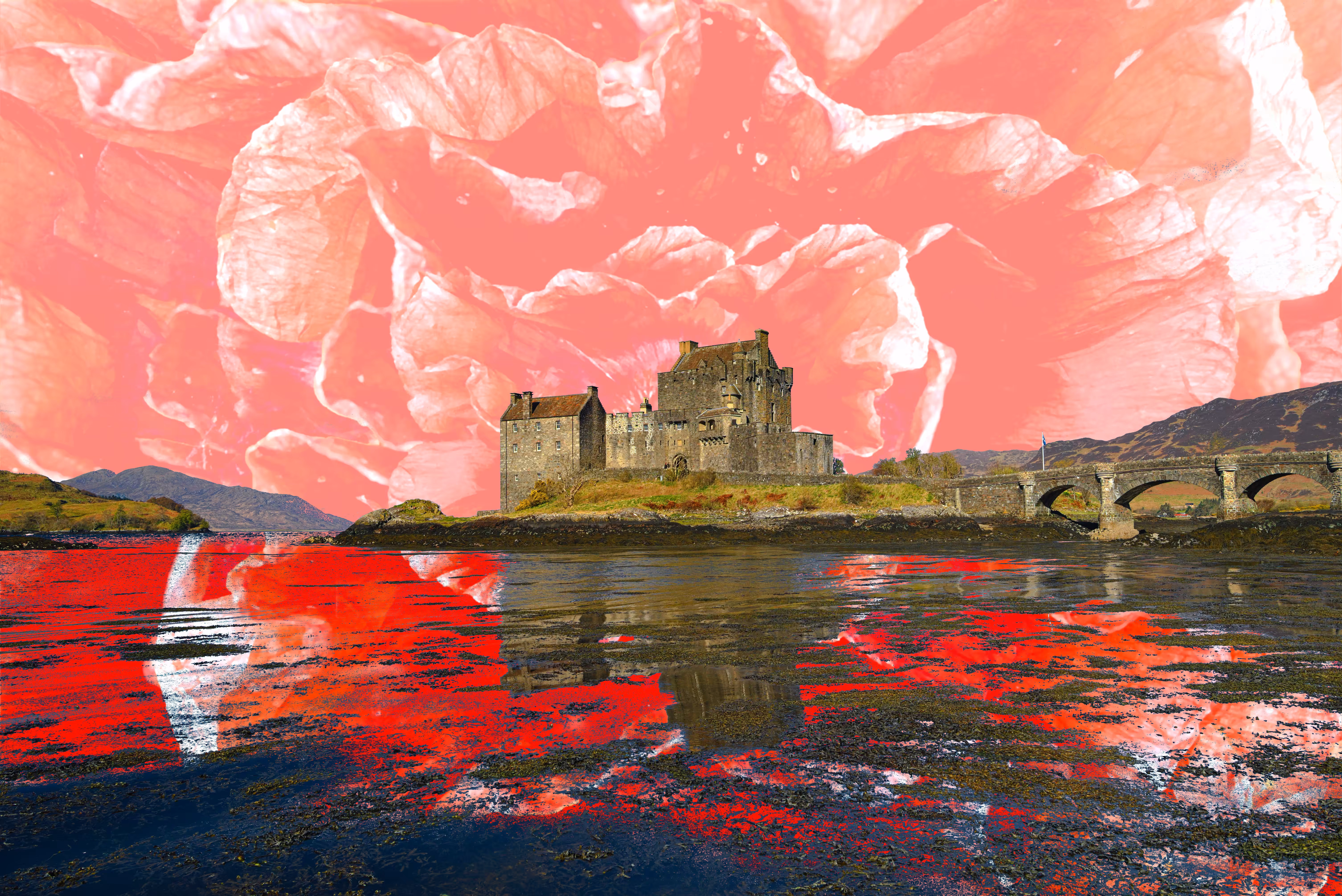 Red Donan