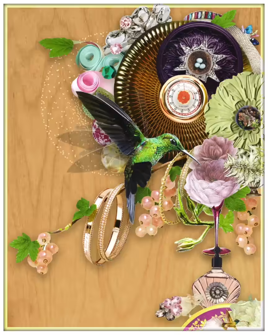 Hummingbird Sanctuary 
