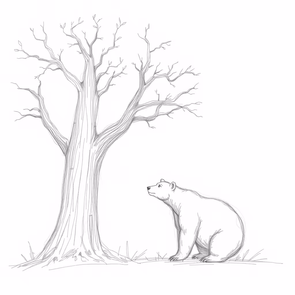 Tree bear sketch