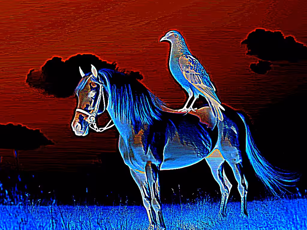 [FORMERLY] LONESOME DOVE... 