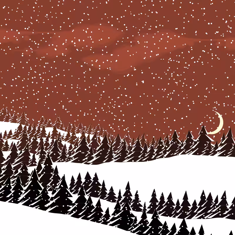 Winterland #144