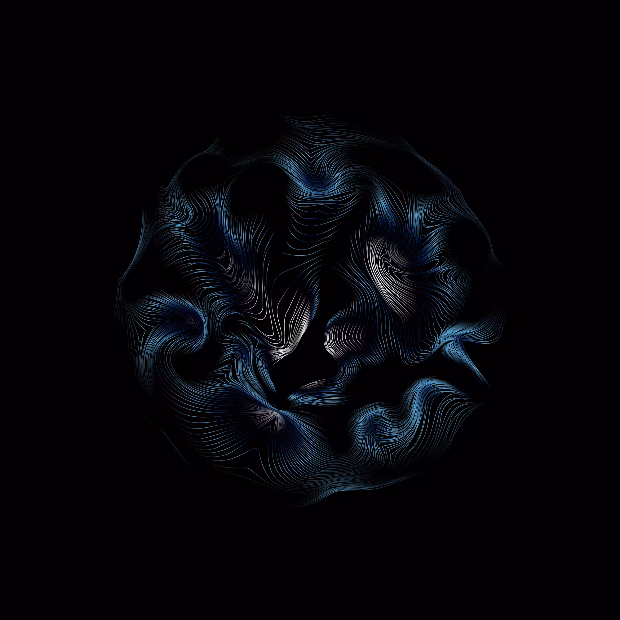 Perception #13