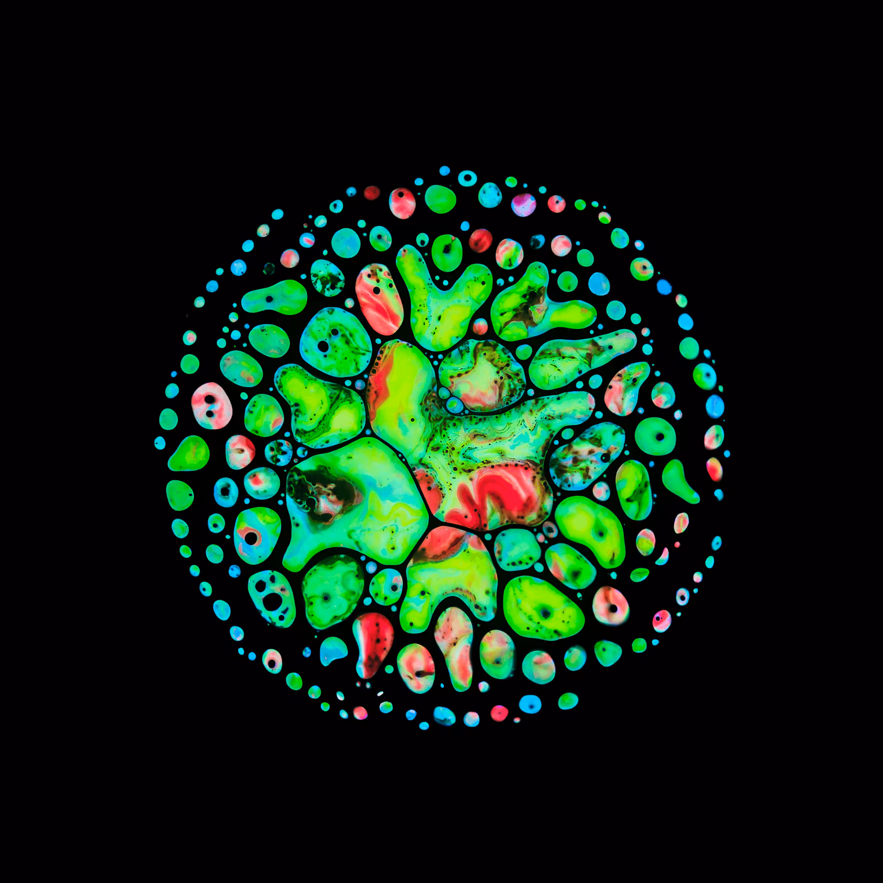 Haematopoiesis #196