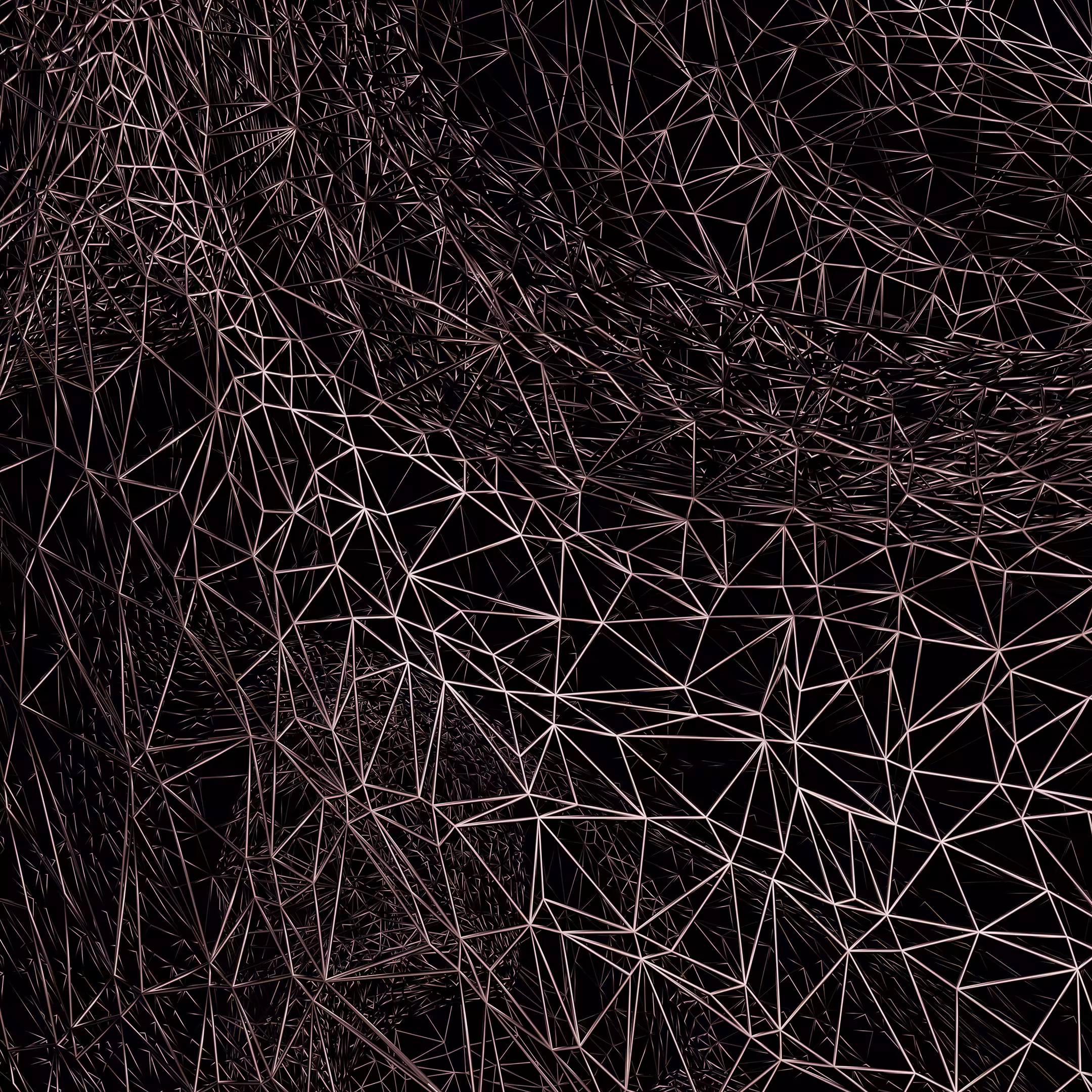 Wire of skull