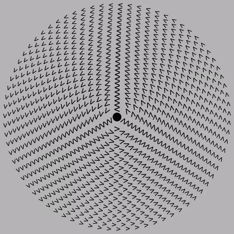 Dizzy Wheel #24
