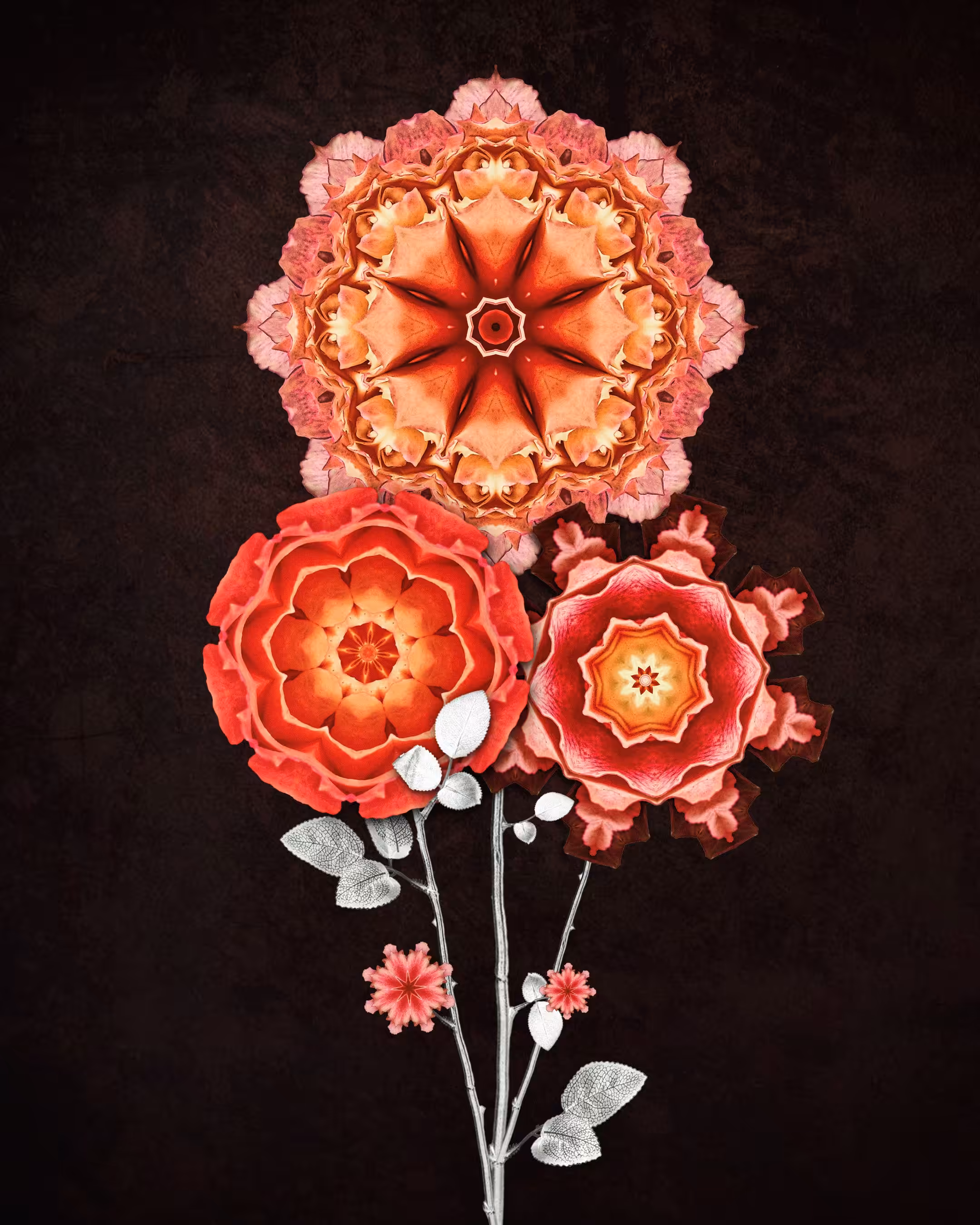 Primary Nature 029