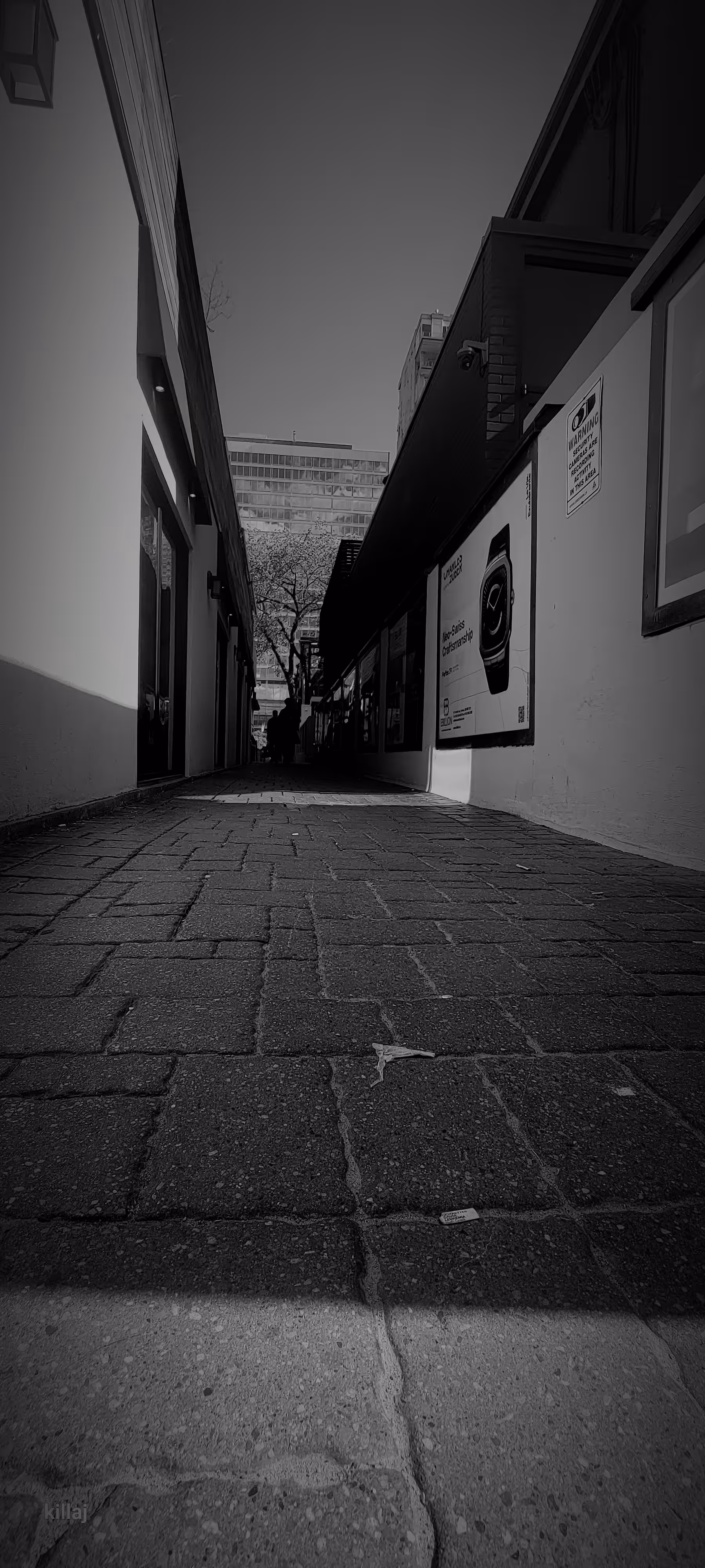 pathway 