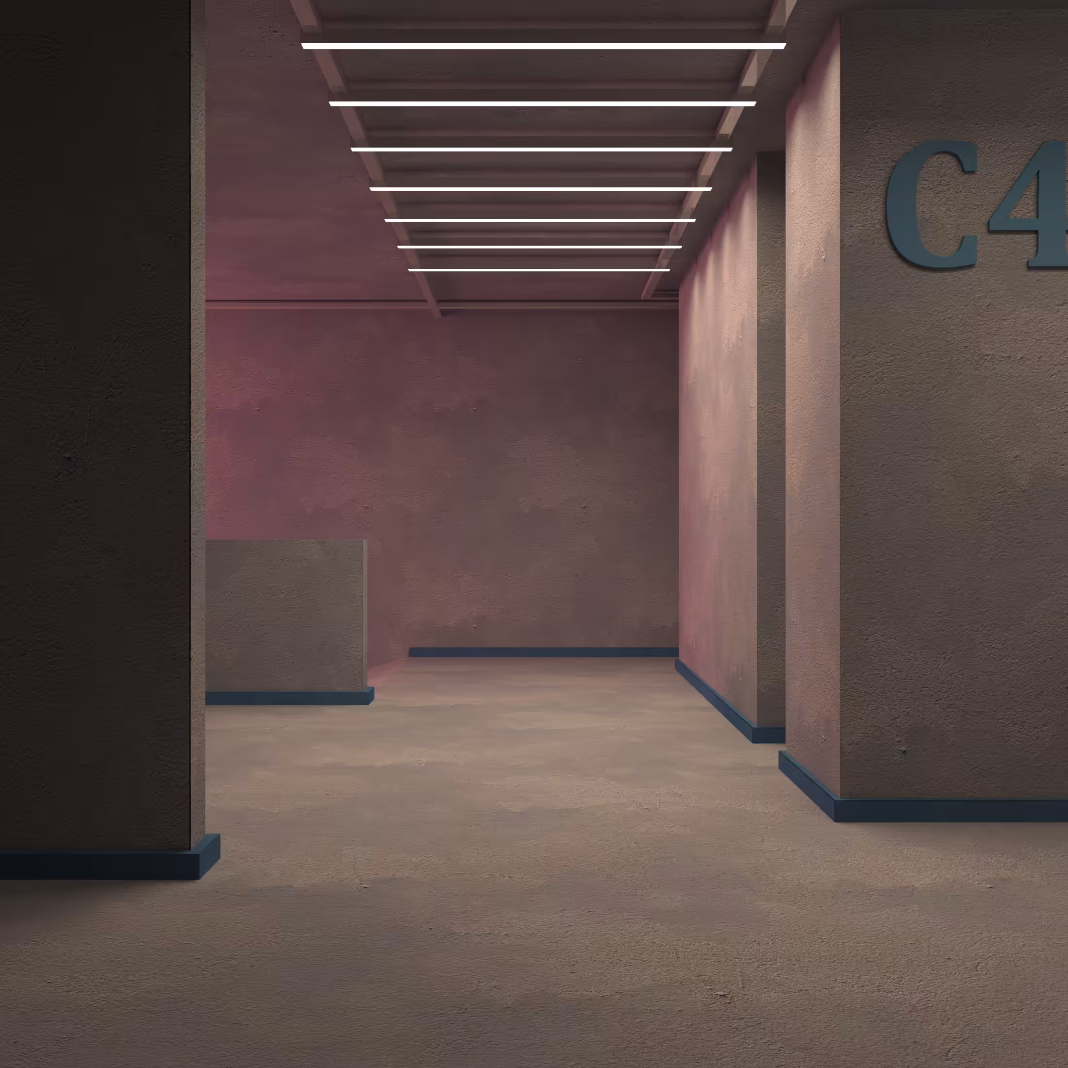 C4