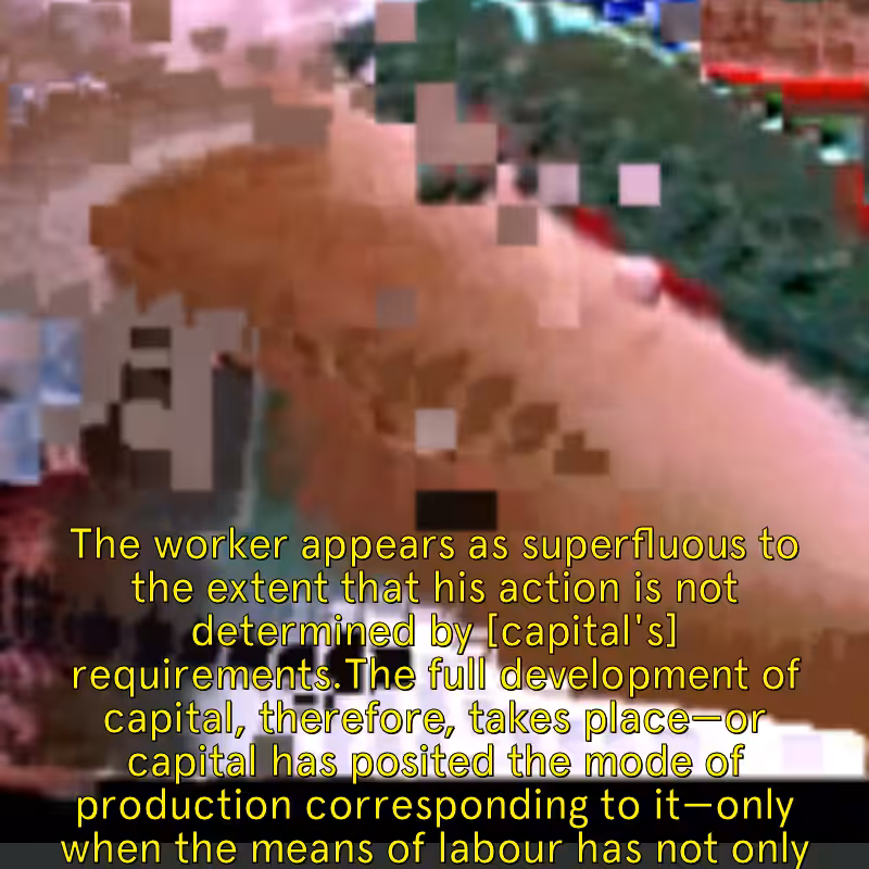 Marx Hilton's The Simple Life #11