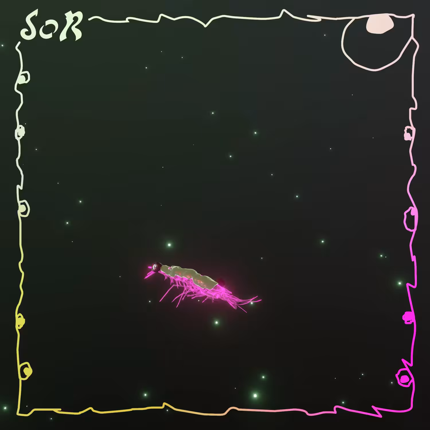Shrimp #581