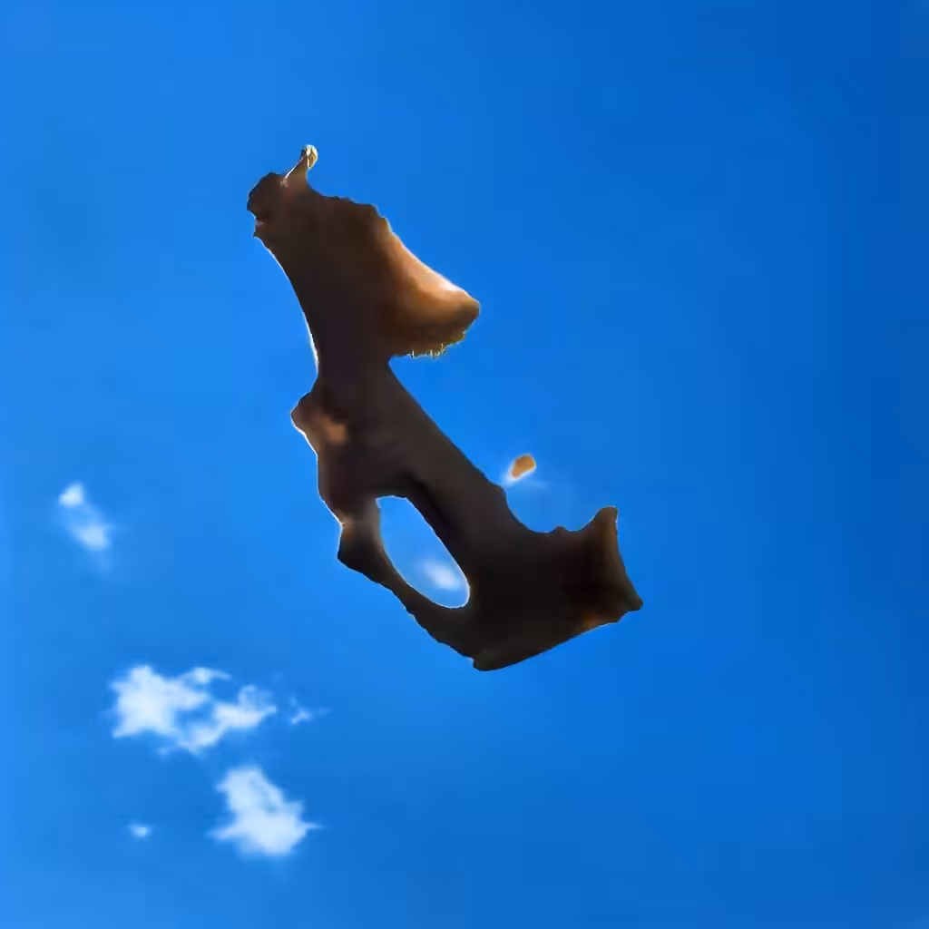 Bones In The Sky Marfa No. 109