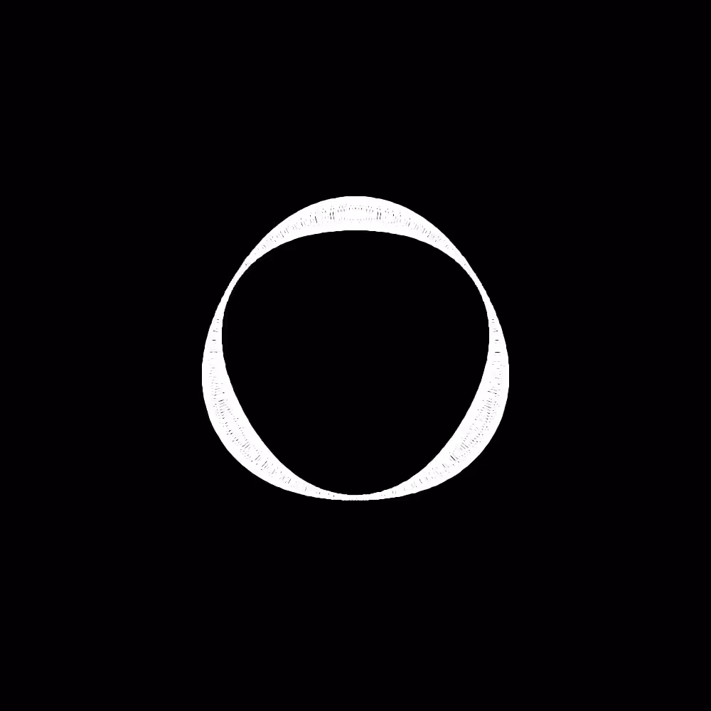 i heard you like circles