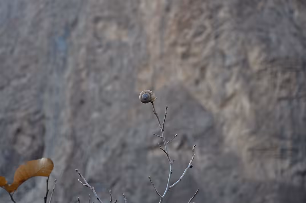 Shell of a Moment