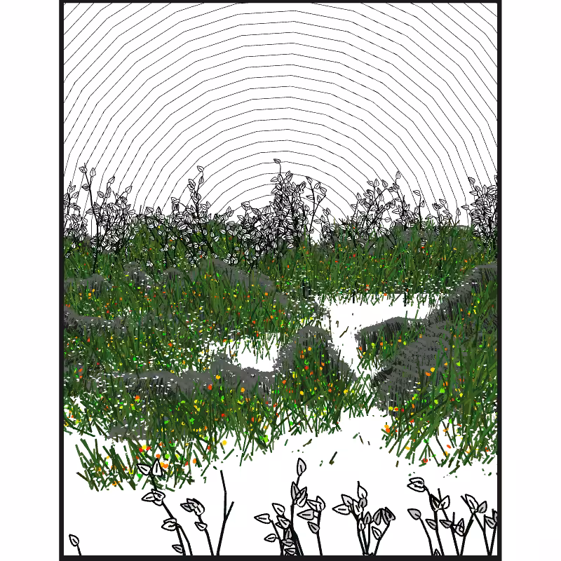 Contours #89