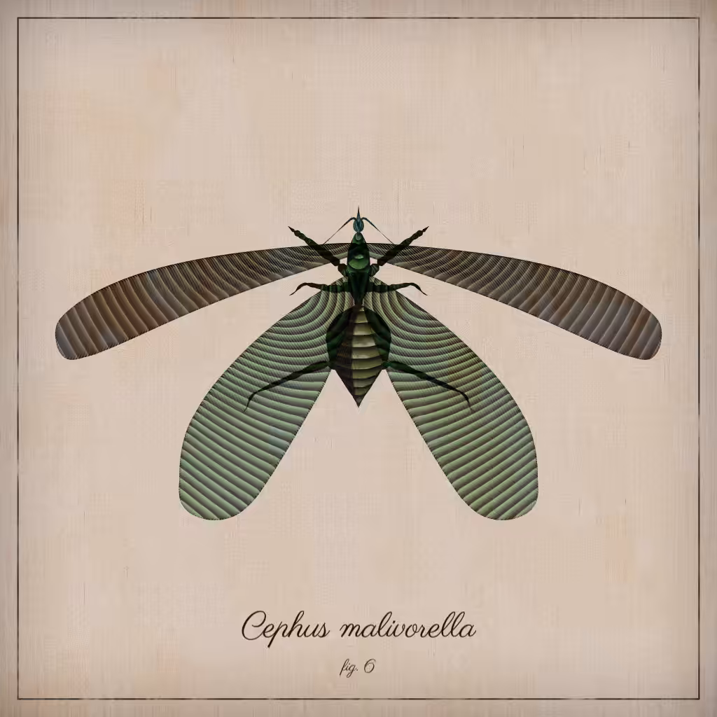 ProcGen Entomology #501