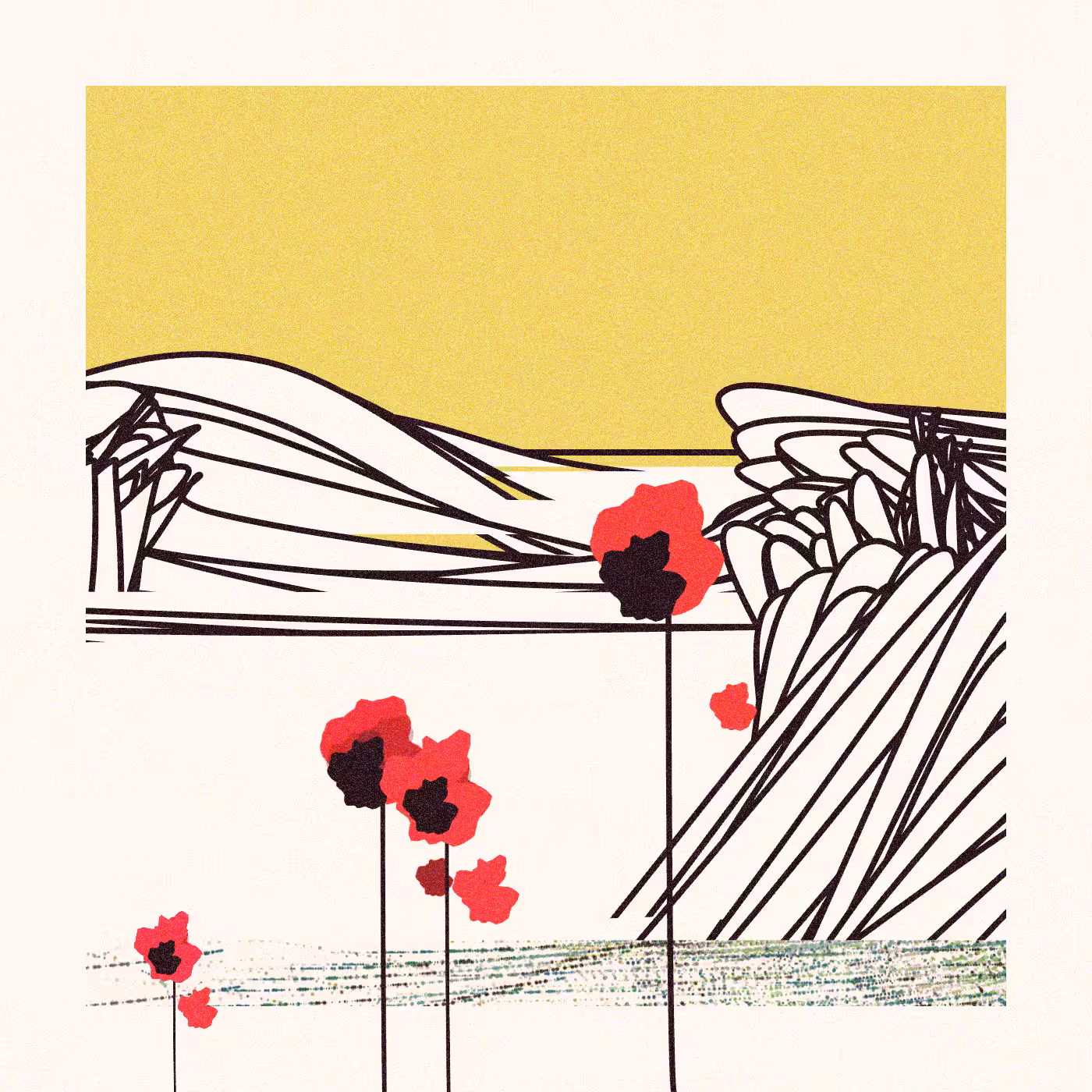 Poppies of Normandy