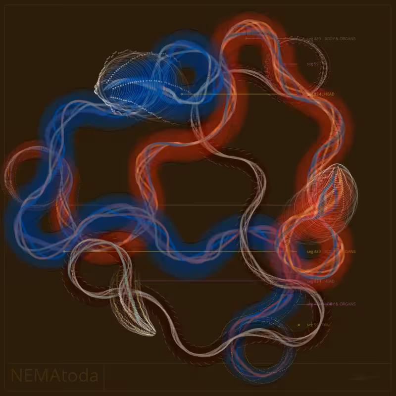 NEMA #100